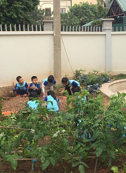   Tết trồng cây  của các bé trường mầm non Gia Thượng